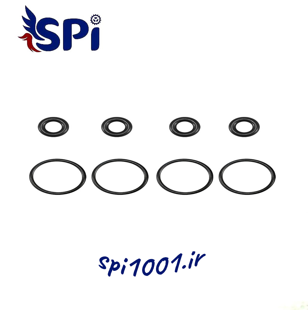 اورینگ سوزن انژکتور 405